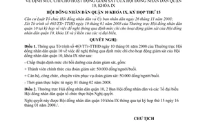 Nghị quyết 04/2008/NQ-HĐND định mức chi cho hoạt động giám sát Hội đồng nhân dân quận 10, khóa IX quận 10