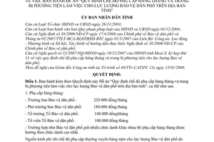 Quyết định  03/2008/QĐ-UBND  đề án “Quy định chế độ phụ cấp hàng tháng và trang bị phương tiện làm việc cho lực lượng bảo vệ dân phố địa bàn tỉnh"
