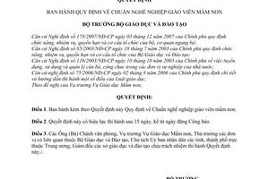 Quyết định 02/2008/QĐ-BGDĐT  quy định về chuẩn nghề nghiệp giáo viên mầm non