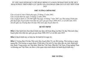 Quyết định 04/QĐ-TTg Quy chế hoạt động của Ban Chỉ đạo Nhà nước Quy hoạch phát triển điện lực quốc gia giai đoạn 2006 - 2015 xét đến 2025