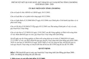 Quyết định 450/QĐ-UBND phê duyệt kết quả rà soát quy hoạch lại 3 loại rừng Lâm Đồng