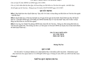 Quyết định 312/2008/QĐ-UBND tổ chức và hoạt động của Đội kiểm tra Văn hóa liên ngành Bắc Kạn