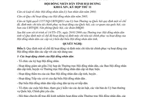 Nghị quyết 94/2008/NQ-HĐND quy định chế độ hoạt động định mức chi tiêu tài chính