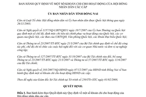 Quyết định 17/2008/QĐ-UBND khoản chi hoạt động Hội đồng nhân dân các cấp Đồng Nai