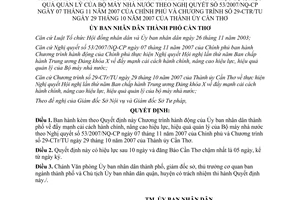 Quyết định 15/2008/QĐ-UBND chương trình hành động cải cách hành chính Cần Thơ