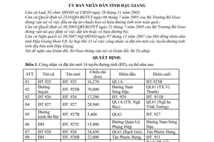 Quyết định 07/2008/QĐ-UBND công nhận đặt tên mới các tuyến đường