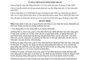 Quyết định 74/2008/QĐ-UBND tổ chức cơ quan chuyên môn thuộc Ủy ban nhân dân