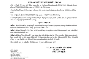 Quyết định 11/2008/QĐ-UBND về Chương trình sử dụng năng lượng tiết kiệm và hiệu