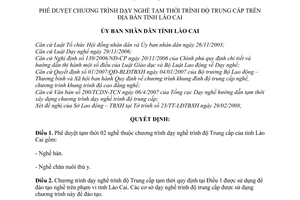 Quyết định  09/2008/QĐ-UBND  phê duyệt chương trình dạy nghề tạm thời trình độ trung cấp trên địa bàn tỉnh Lào Cai