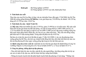 Công văn  53/BNN-BVTV-BCĐ-TB Tình hình dịch rầy nâu, bệnh vàng lùn, lùn xoắn lá