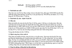 Công văn  57/BNN-BVTV-BCĐ-TB Tình hình dịch rầy nâu, bệnh vàng lùn, lùn xoắn lá