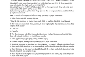 Pháp lệnh xử lý vi phạm hành chính 2008 sửa đổi 04/2008/PL-UBTVQH12