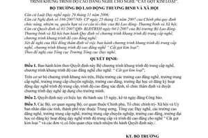 Quyết định 30/2008/QĐ-BLĐTBXH Bộ chương trình khung trình độ trung cấp nghề, trình độ cao đẳng nghề cho nghề: “Cắt gọt kim loại"