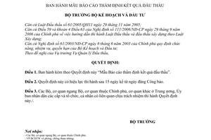 Quyết định  419/2008/QĐ-BKH  mẫu báo cáo thẩm định kết quả đấu thầu