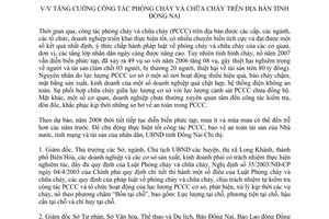 Chỉ thị 10/2008/CT-UBND tăng cường phòng cháy chữa cháy Đồng Nai