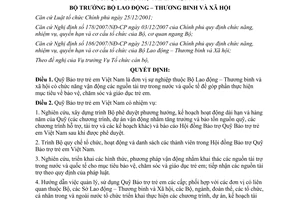 Quyết định số 517/QĐ-LĐTBXH 2008 chức năng nhiệm vụ quyền hạn Quỹ Bảo trợ trẻ em Việt Nam