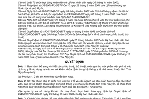 Quyết định 22/2008/QĐ-UBND bổ sung chi tiết phẫu thuật, thủ thuật