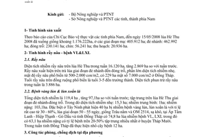 Công văn  63/BNN-BVTV-BCĐ-TB Tình hình dịch rầy nâu, bệnh vàng lùn, lùn xoắn lá