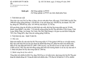 Công văn  65/BNN-BVTV-BCĐ-TB Tình hình dịch rầy nâu, bệnh vàng lùn, lùn xoắn lá