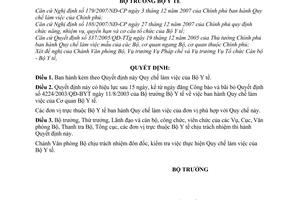 Quyết định 19/2008/QĐ-BYT Quy chế làm việc của Bộ Y tế