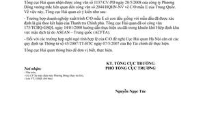Công văn  3002/TCHQ-GSQL vướng mắc liên quan đến C/O mẫu E