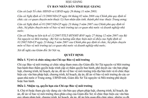 Quyết định 30/2008/QĐ-UBND cơ cấu tổ chức bộ máy Chi cục Bảo vệ môi trường tỉnh Hậu Giang