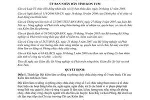 Quyết định 20/2008/QĐ-UBND Đội kiểm lâm cơ động và phòng cháy rừng số 3 Kon Tum