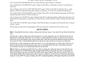 Quyết định 22/2008/QĐ-UBND Đội kiểm lâm cơ động phòng cháy chữa cháy rừng số 1