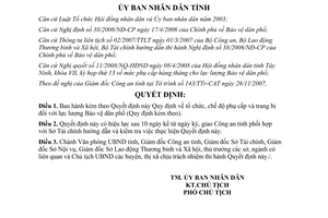 Quyết định 41/2008/QĐ-UBND phụ cấp trang bị lực lượng Bảo vệ dân phố Tây Ninh