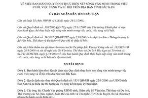 Quyết định 1021/2008/QĐ-UBND Quy định nếp sống văn minh việc cưới tang lễ hội