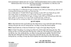Quyết định 29/2008/QĐ-BGDĐT Quy định chu kỳ và quy trình kiểm định chất lượng giáo dục của các trường đại học, cao đẳng và trung cấp chuyên nghiệp