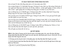 Quyết định 35/2008/QĐ-UBND phụ cấp Ban Đại diện Hội Người cao tuổi Thái Nguyên