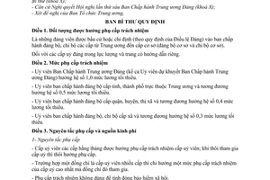 Quy định 169-QĐ/TW chế độ phụ cấp trách nhiệm cấp ủy viên