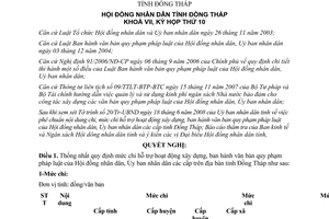 Nghị quyết số 113/2008/NQ-HĐND hỗ trợ hoạt động xây dựng văn bản Đồng Tháp