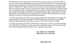 Công văn 3406/TCHQ-GSQL thực hiện NĐ 82/2006/NĐ-CP quản lý hoạt động xuất khẩu, nhập khẩu, tái xuất khẩu, nhập nội từ biển