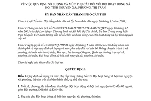 Quyết định 59/2008/QĐ-UBND số lượng mức phụ cấp Đội hoạt động xã hội tình nguyện