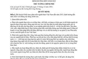 Quyết định 89/2008/QĐ-TTg phê duyệt Chiến lược phát triển ngành than Việt Nam đến năm 2015, định hướng đến năm 2025