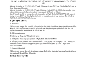 Thông tư 04/2008/TT-BKH tổ chức hoạt động Tổ hợp tác hướng dẫn Nghị định 151/2007/NĐ-CP