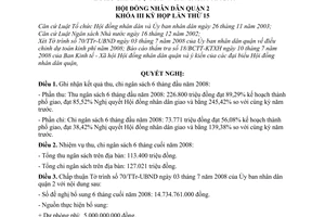 Nghị quyết 07/2008/NQ-HĐND điều chỉnh dự toán ngân sách năm 2008 quận 2