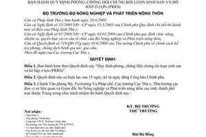 Quyết định 80/2008/QĐ-BNN Quy định phòng, chống Hội chứng rối loạn sinh sản và hô hấp ở lợn (PRRS)