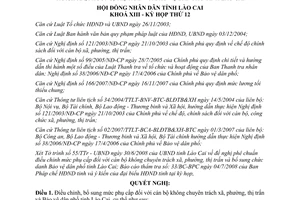 Nghị quyết 10/2008/NQ-HĐND điều chỉnh mức phụ cấp cán bộ không chuyên trách