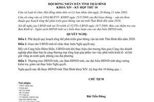 Nghị quyết 115/NQ-HĐND năm 2008 quy hoạch tổng thể phát triển giao thông vận tải Thái Bình đến 2020