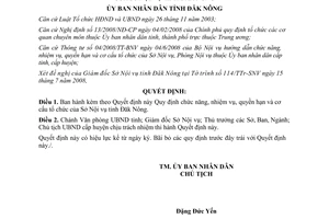 Quyết định 977/QĐ-UBND năm 2008 chức năng nhiệm vụ Sở Nội vụ Đăk Nông