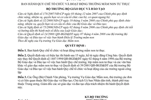 Quyết định 41/2008/QĐ-BGDĐT Quy chế tổ chức và hoạt động trường mầm non tư thục