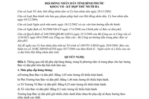 Nghị quyết 17/2008/NQ-HĐND phụ cấp hàng tháng lực lượng bảo vệ dân phố Bình Phước