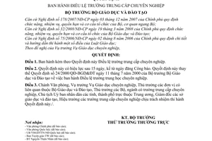 Quyết định 43/2008/QĐ-BGDĐT Điều lệ trường trung cấp chuyên nghiệp