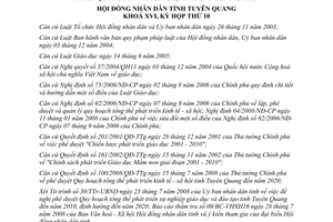 Nghị quyết 10/2008/NQ-HĐND quy hoạch phát triển sự nghiệp giáo dục Tuyên Quang