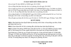 Quyết định 32/2008/QĐ-UBND tổ chức hoạt động thôn tổ dân phố tỉnh Lào Cai