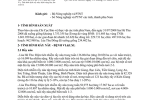 Công văn  103/BNN-BVTV-BCĐ-TB Tình hình dịch rầy nâu, bệnh vàng lùn, lùn xoắn lá