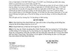 Quyết định 3079/QĐ-BYT qui chế tổ chức và hoạt động của hệ thống làm công tác bảo hộ lao động trong các cơ sở y tế